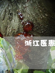 浙江医患纠纷律师可靠推荐