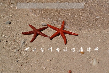 浙江台州专注咨询律师