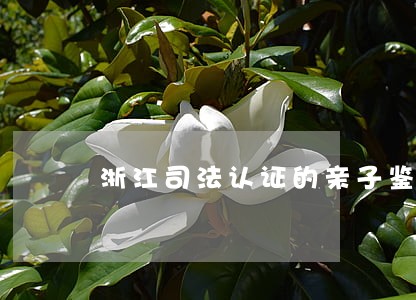 浙江司法认证的亲子鉴定有