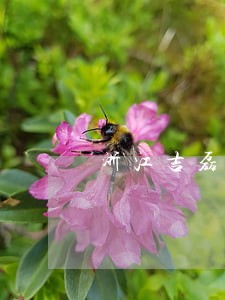 浙江吉磊公司逾期处罚 浙江吉磊公司逾期处罚