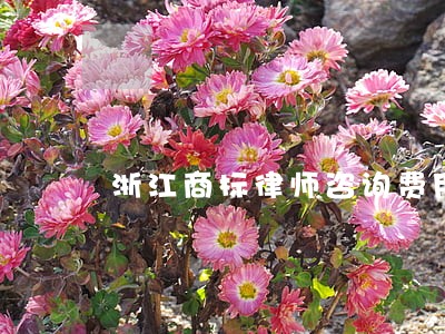 浙江商标律师咨询费用 浙江商标律师咨询费用