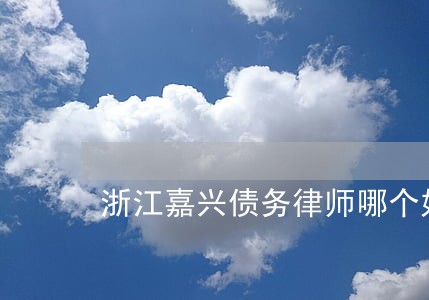 浙江嘉兴债务律师哪个好 浙江嘉兴债务律师哪个好