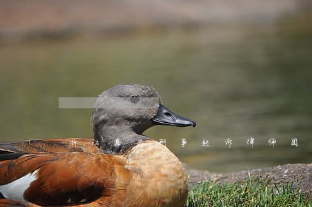 浙江嘉兴刑事起诉律师团队 浙江嘉兴刑事起诉律师团队
