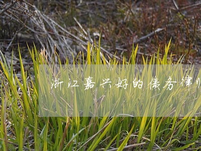 浙江嘉兴好的债务律师事务所 浙江嘉兴好的债务律师事务所