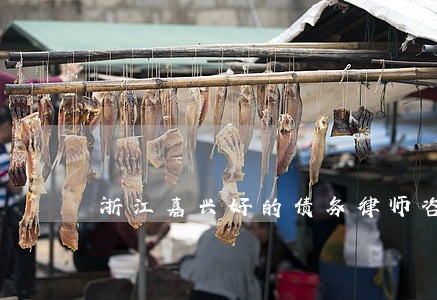 浙江嘉兴好的债务律师咨询电话 浙江嘉兴好的债务律师咨询电话