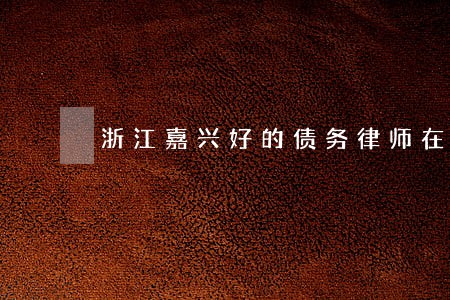 浙江嘉兴好的债务律师在线咨询 浙江嘉兴好的债务律师在线咨询
