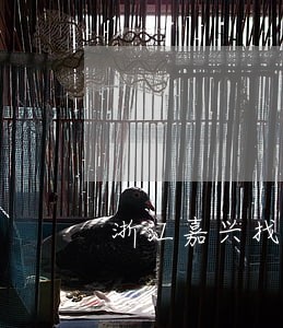 浙江嘉兴找债权债务律师价格 浙江嘉兴找债权债务律师价格