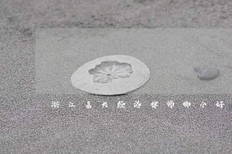 浙江嘉兴经济律师哪个好 浙江嘉兴经济律师哪个好