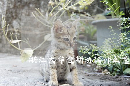 浙江大华逾期协议什么意思 浙江大华逾期协议什么意思