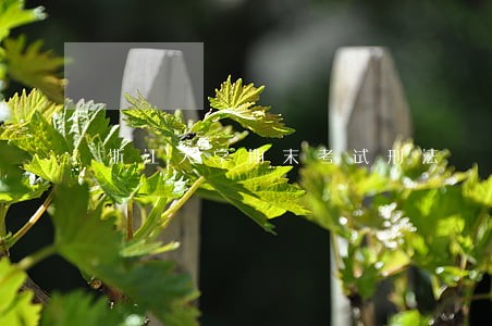浙江大学期末考试刑法 浙江大学期末考试刑法