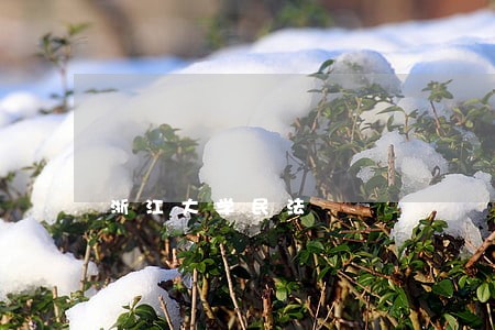 浙江大学民法 浙江大学民法