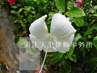 浙江天卫律师事务所 浙江天卫律师事务所