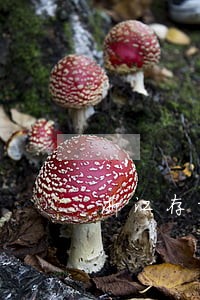 浙江存量房买卖律师委托流程 浙江存量房买卖律师委托流程