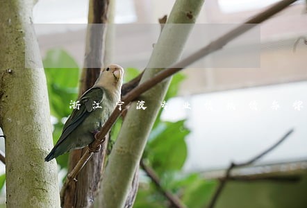 浙江宁波专业债权债务律师哪个好 浙江宁波专业债权债务律师哪个好
