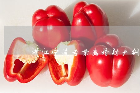浙江宁波专业离婚财产纠纷律师 浙江宁波专业离婚财产纠纷律师