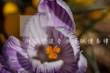 浙江宁波专办债权债务律师事务所 浙江宁波专办债权债务律师事务所
