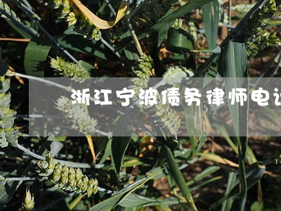 浙江宁波债务律师电话咨询 浙江宁波债务律师电话咨询