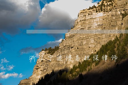 浙江宁波债务担保律师 浙江宁波债务担保律师