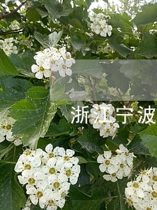 浙江宁波债务担保律师免费咨询 浙江宁波债务担保律师免费咨询