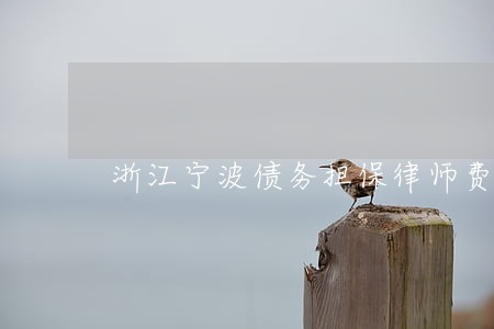 浙江宁波债务担保律师费用 浙江宁波债务担保律师费用