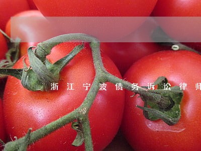 浙江宁波债务诉讼律师多少钱 浙江宁波债务诉讼律师多少钱