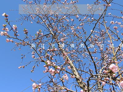 浙江宁波债务诉讼律师怎么委托 浙江宁波债务诉讼律师怎么委托