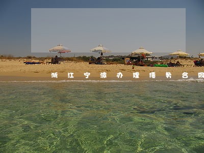 浙江宁波办理债务合同律师哪个好 浙江宁波办理债务合同律师哪个好
