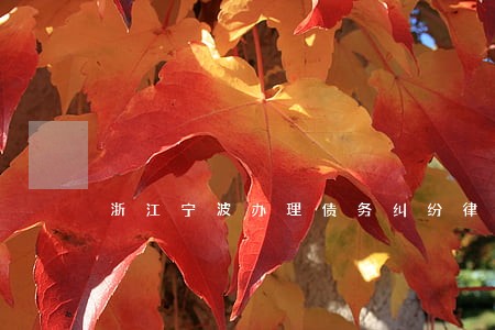 浙江宁波办理债务纠纷律师费用 浙江宁波办理债务纠纷律师费用
