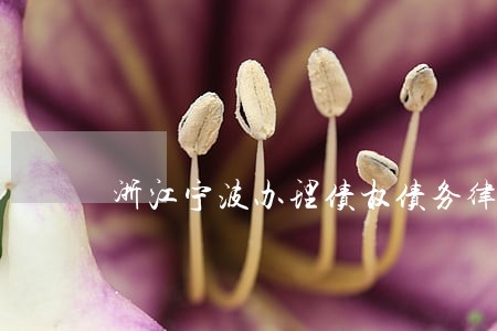 浙江宁波办理债权债务律师 浙江宁波办理债权债务律师