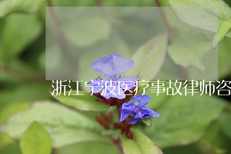 浙江宁波医疗事故律师咨询电话 浙江宁波医疗事故律师咨询电话