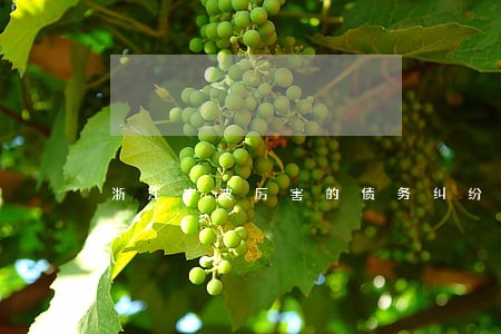 浙江宁波厉害的债务纠纷律师费 浙江宁波厉害的债务纠纷律师费