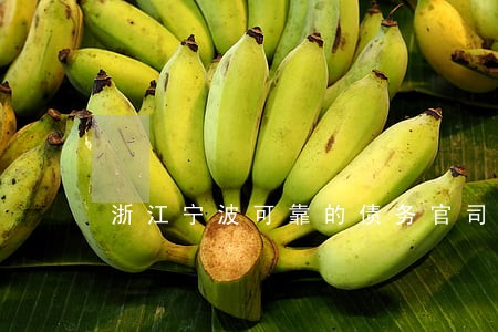浙江宁波可靠的债务官司律师 浙江宁波可靠的债务官司律师