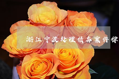 浙江宁波处理债务案件律师 浙江宁波处理债务案件律师