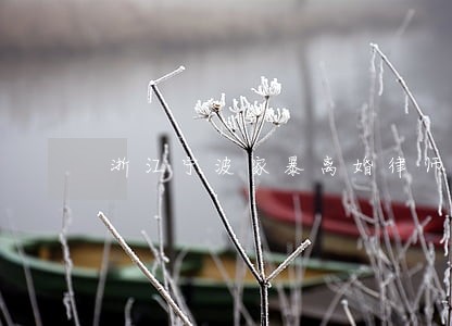 浙江宁波家暴离婚律师团 浙江宁波家暴离婚律师团