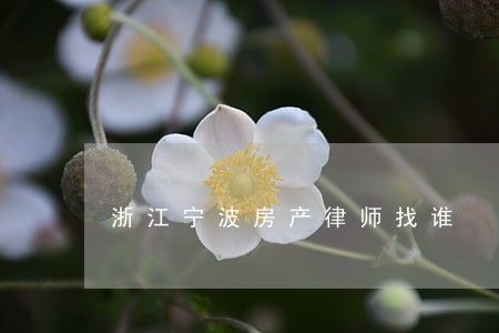 浙江宁波房产律师找谁 浙江宁波房产律师找谁