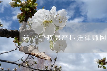 浙江宁波房产拆迁律师网 浙江宁波房产拆迁律师网