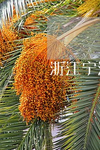 浙江宁波擅长非法经营罪律师 浙江宁波擅长非法经营罪律师