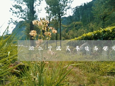 浙江宁波民事债务律师委托步骤 浙江宁波民事债务律师委托步骤