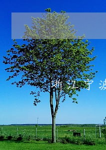 浙江宁波离婚房产律师排名 浙江宁波离婚房产律师排名