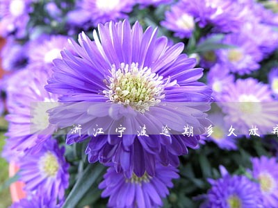 浙江宁波逾期多久放弃催收
