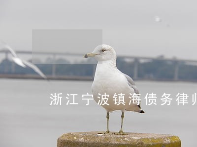 浙江宁波镇海债务律师 浙江宁波镇海债务律师
