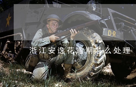 浙江安逸花逾期怎么处理 浙江安逸花逾期怎么处理