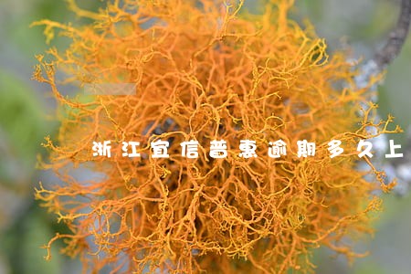 浙江宜信普惠逾期多久上征信 浙江宜信普惠逾期多久上征信