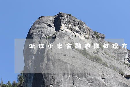 浙江小米金融逾期处理方法 浙江小米金融逾期处理方法