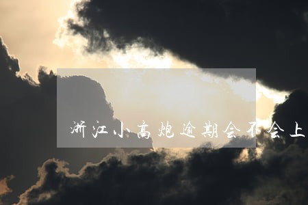 浙江小高炮逾期会不会上门