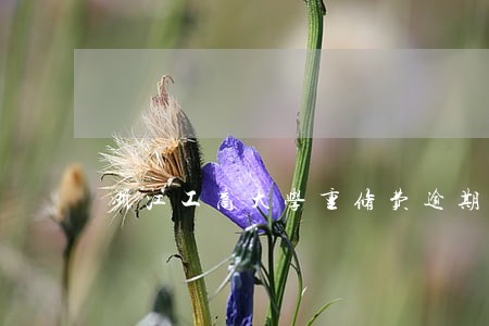 浙江工商大学重修费逾期 浙江工商大学重修费逾期