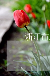 浙江市场法律咨询价格 浙江市场法律咨询价格