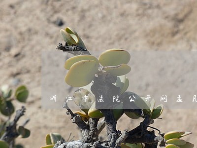 浙江市法院公开网孟凡斌 浙江市法院公开网孟凡斌