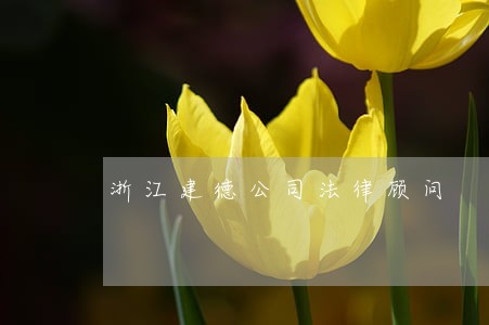 浙江建德公司法律顾问 浙江建德公司法律顾问