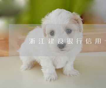 浙江建设银行信用卡逾期